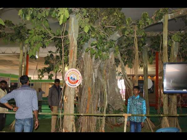  ಧರ್ಮದ ಕತೆ ಹೇಳುವ ಸನಾತನ ಮರ