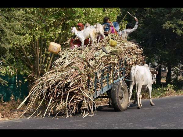 ಎಲ್ಲಿಗೆ ಪಯಣ
