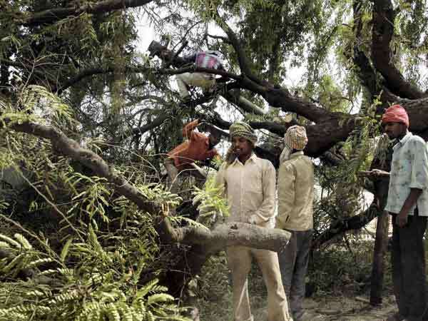 2. ಮರ ಕಡಿಯುವವನು