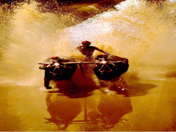 ಮಂಗಳೂರಲ್ಲಿ ಕಂಬಳ