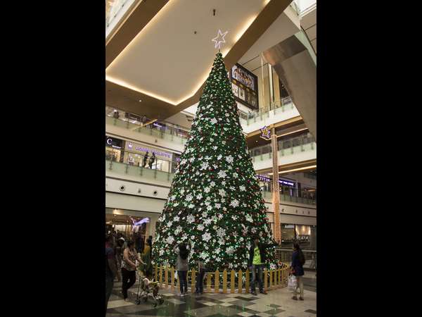 ಕಣ್ಮನ ಸೆಳೆಯುವ ಕ್ರಿಸ್ಮಸ್ ಟ್ರೀ