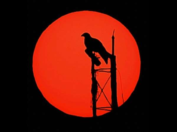 ಸೂರ್ಯನೊಳಗಣ ಹಕ್ಕಿ