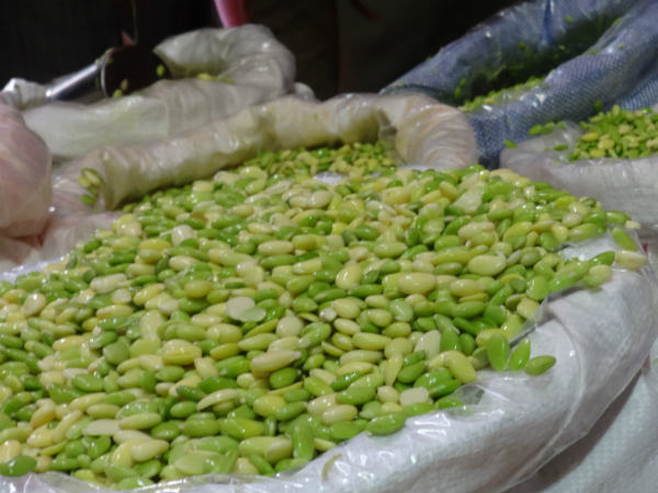  ಸಂಜೆಗೆ ಎಲ್ಲವೂ ಸಿದ್ಧ