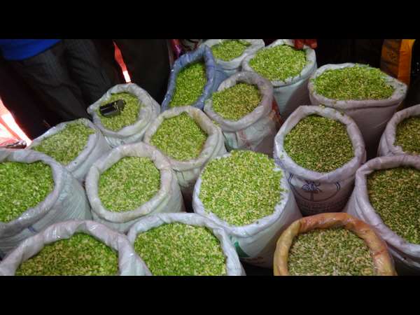 ಅವರೇಕಾಯಿಯ ಹುಟ್ಟು, ಬೆಳವಣಿಗೆ