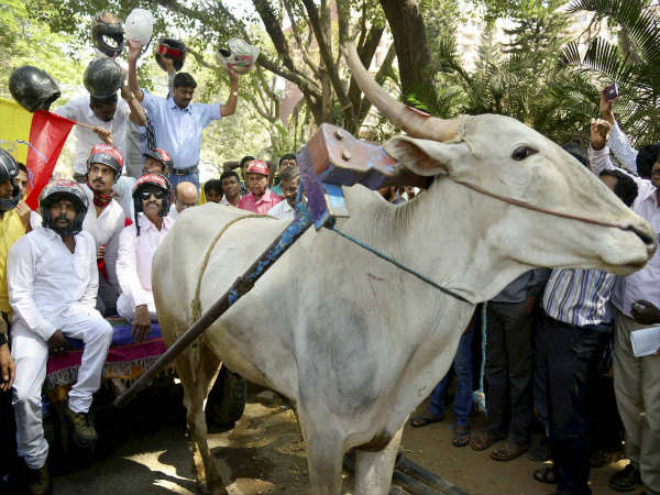 ಎತ್ತಿನಗಾಡಿಯಲ್ಲಿ ಕೂತು ಹೆಲ್ಮೆಟ್ ಧರಿಸಿದ ವಾಟಾಳ್