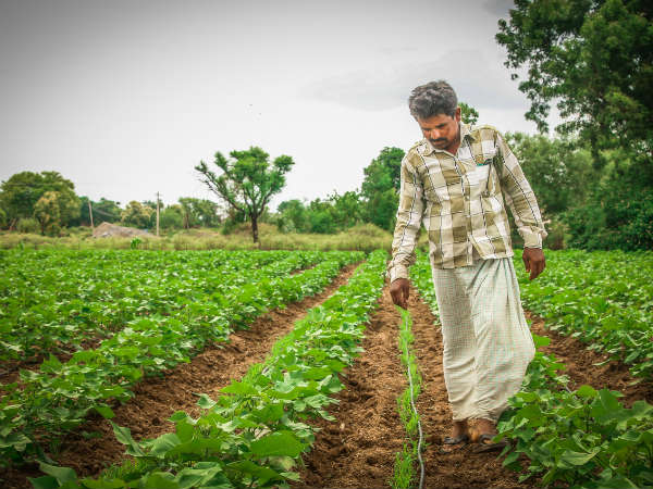 Development dialogue by Deshpande Foundation in Hubballi