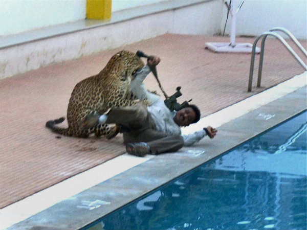 ಶಾಲೆಯ ಆವಣಕ್ಕೆ ನುಗ್ಗಿದ ಚಿರತೆ