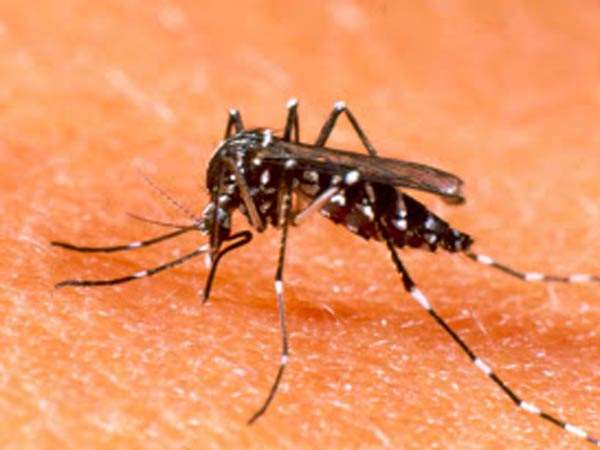 15 ದಿನದಲ್ಲಿ ಅನುಷ್ಠಾನ 