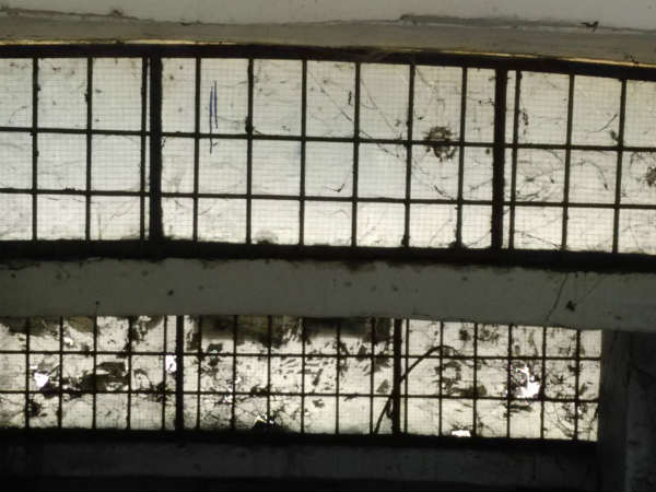 ಸಬ್ ವೇ ಸ್ವಚ್ಛತೆಗೆ ವಿನೂತನ ಪ್ರತಿಭಟನೆ