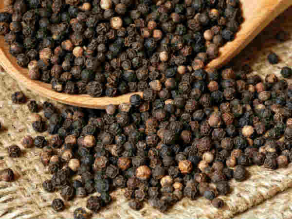 ಸೊರಗು ರೋಗ ಕಾಣಿಸಿಕೊಳ್ಳುವುದು ಯಾವ ಕಾಲದಲ್ಲಿ?