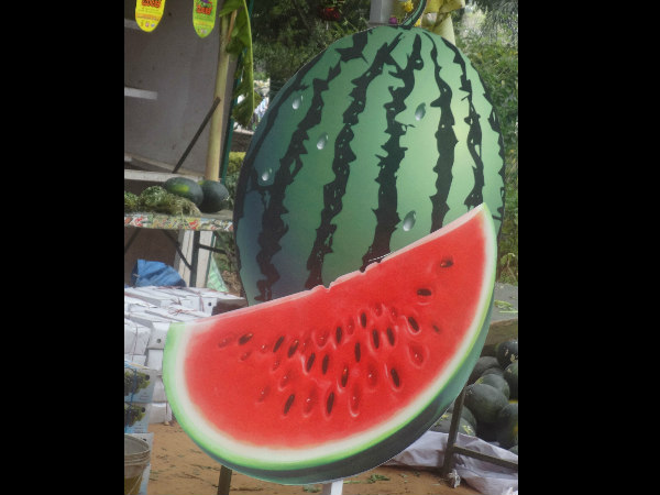 ದ್ರಾಕ್ಷಿ-ಕಲ್ಲಂಗಡಿ ಮೇಳದ ಮೂಲ ಉದ್ದೇಶ ಏನು?