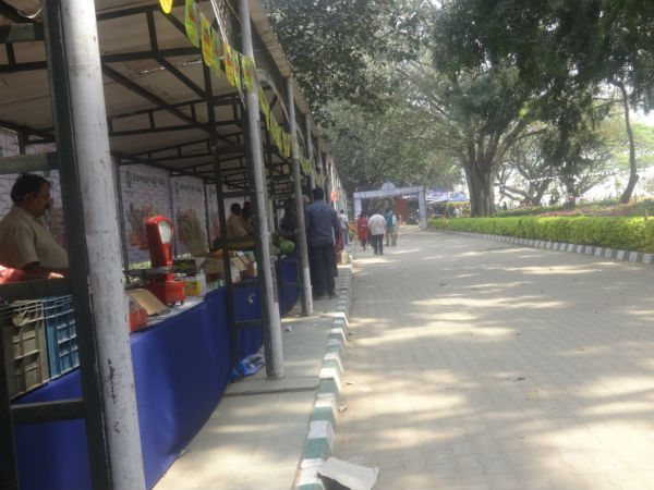 ಒಳಹೋದರೆ ಬೋರೋ ಬೋರೋ