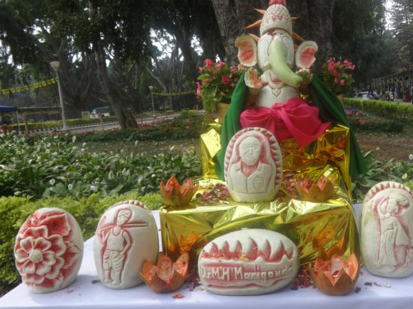 ಹಣ್ಣಿನ ಮೇಳದ ಬಗ್ಗೆ ಜನರ ಅಭಿಪ್ರಾಯವೇನು?