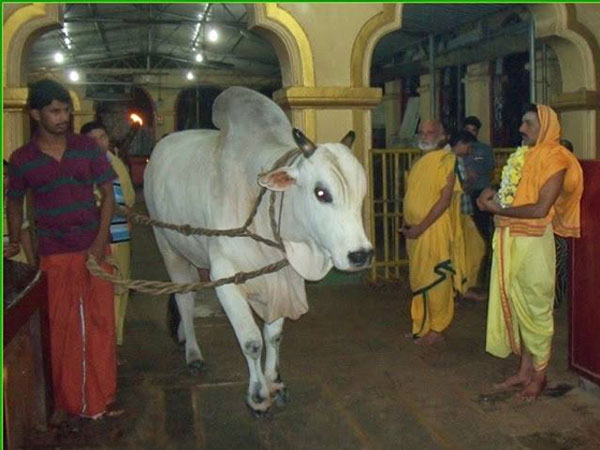 ಆರೋಗ್ಯ ಸಮಸ್ಯೆಯಿಂದ ಬಳಲುತ್ತಿದ್ದ