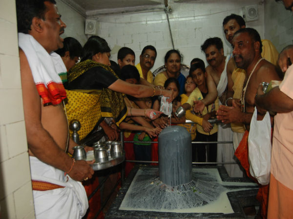 ಶಿವಲಿಂಗಕ್ಕೆ ಭಕ್ತರಿಂದ ಎಳನೀರು, ಹಾಲಿನ ಮಜ್ಜನ