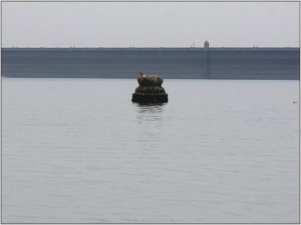ಅಚ್ಚರಿ ಮೂಡಿಸಿದ್ದ ಸುಬ್ರಹ್ಮಣ್ಯೇಶ್ವರ ಗೋಪುರ