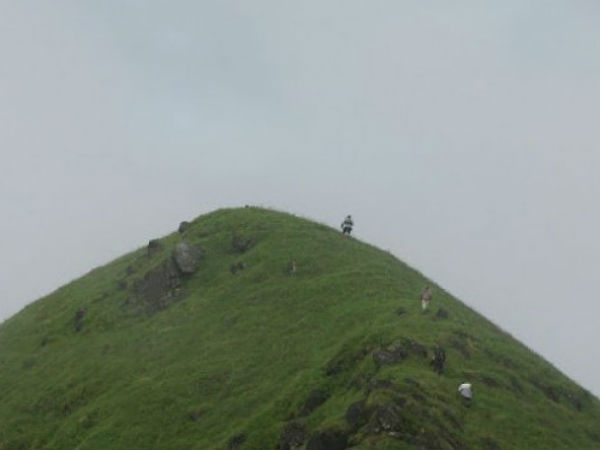 Nishani Motte wildlife trekking near Madikeri