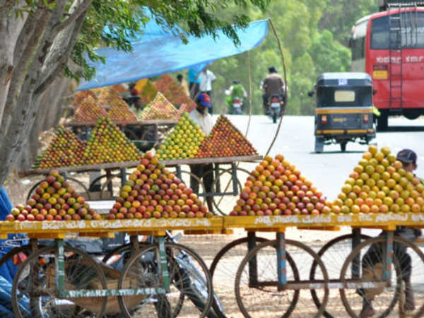 ಮೈಸೂರಿನ ಮಾರುಕಟ್ಟೆಯಿಂದ ಸಂತೆಗೆ 