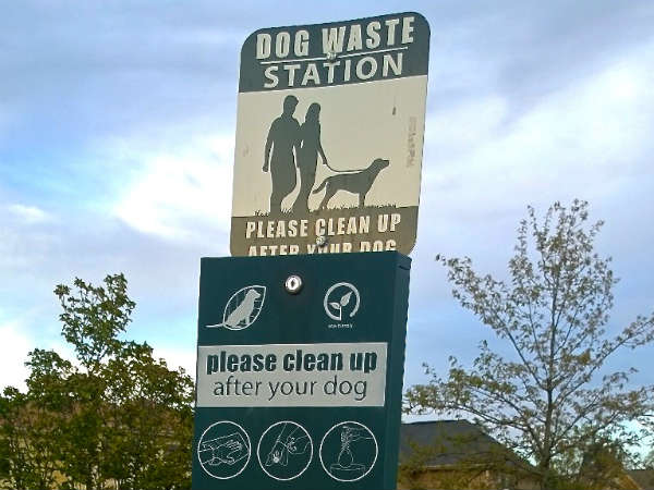 She is very clever - short story for Earth day!