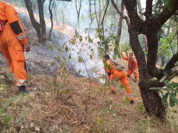  ವಾರದಲ್ಲಿ 398 ಪ್ರಕರಣ