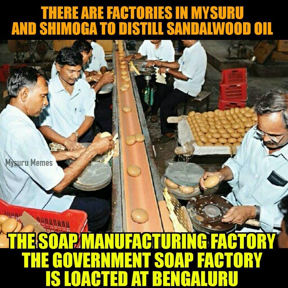 6 ಮಾರುಕಟ್ಟೆ ಶಾಖೆಗಳು