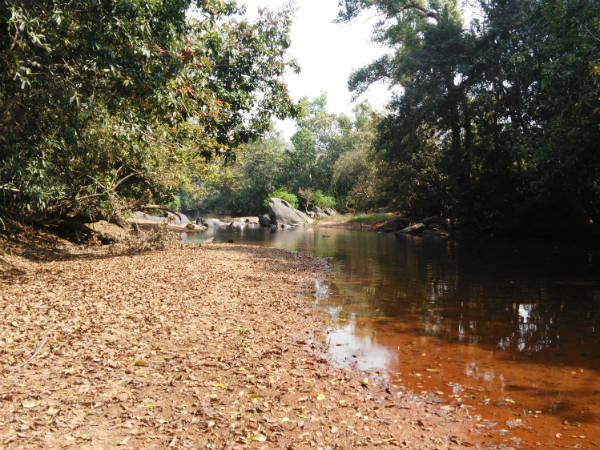 ಬೇಸಿಗೆ ಒಂದೇ ಕಾರಣವಲ್ಲ