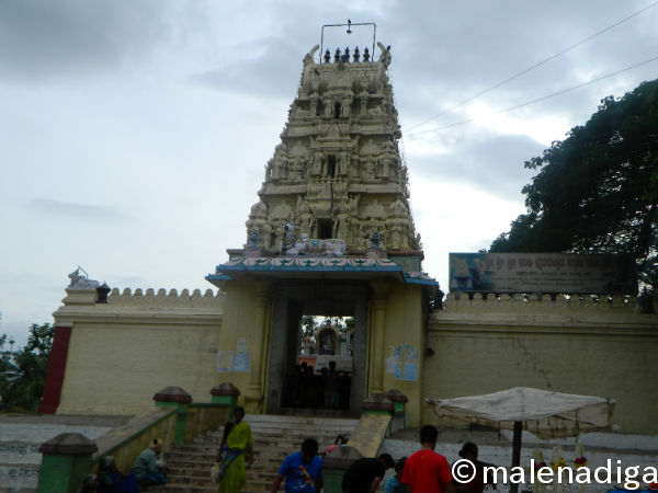In Memory of Chikkarasinakere Holy Bull, Bhairaveshwara Temple Maddur