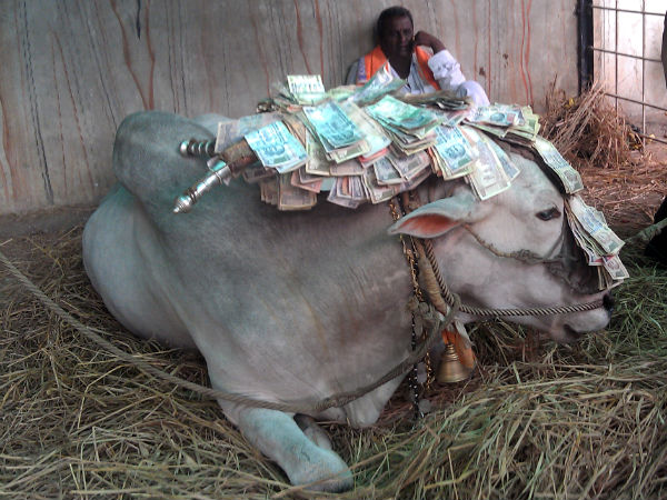 2013ರ ಫಲಿತಾಂಶ