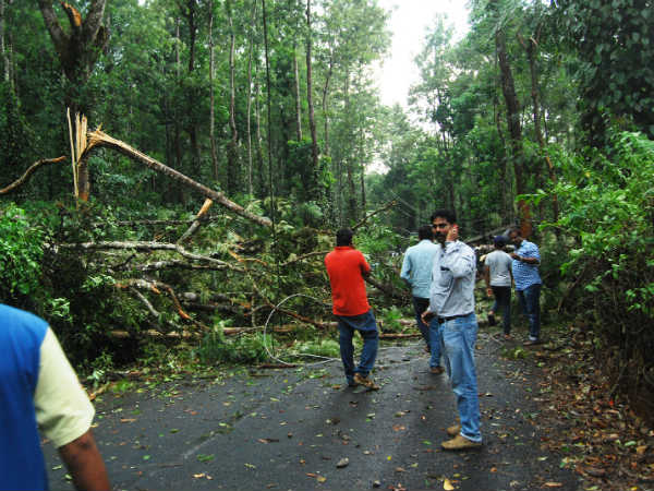 Heavy rain lashes Suntikoppa in Madikeri