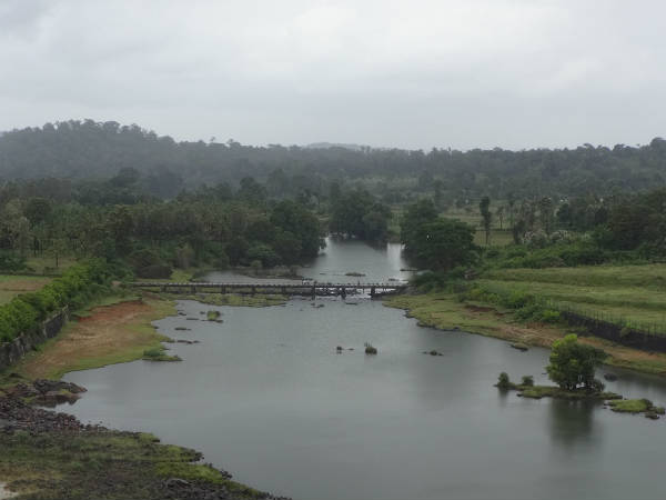 Conservation of Mahaseer fish in Harangi, Coorg