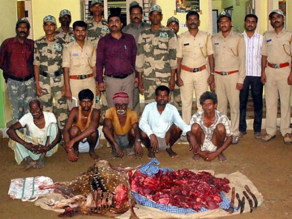 Deer Hunters arrested