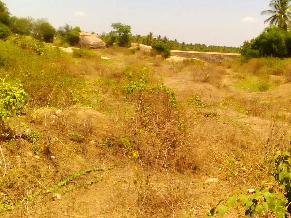 Rivers and Lakes dried up in Mandya district