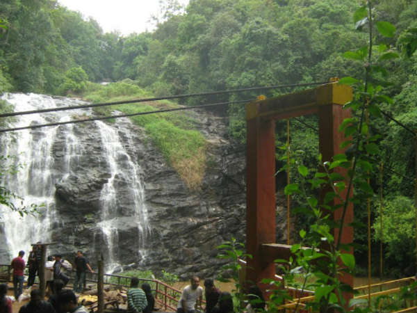 ತೋಟದ ನಡುವೆ ನಡೆಯುತ್ತಿದ್ದರೆ...