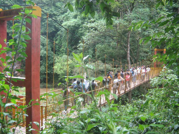 ಕಿವಿಗೆ ಅಪ್ಪಳಿಸುವ ಭೋರ್ಗರೆತದ ದನಿ