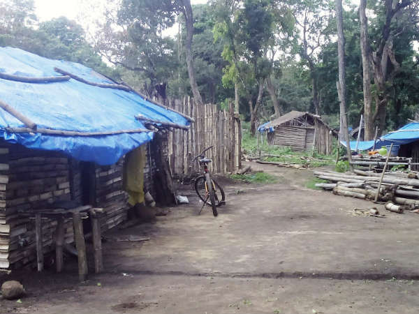 Conflict between tribals and forest department in Mysuru district