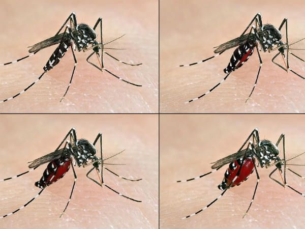 ರಾಜ್ಯದ ಲೆಕ್ಕ