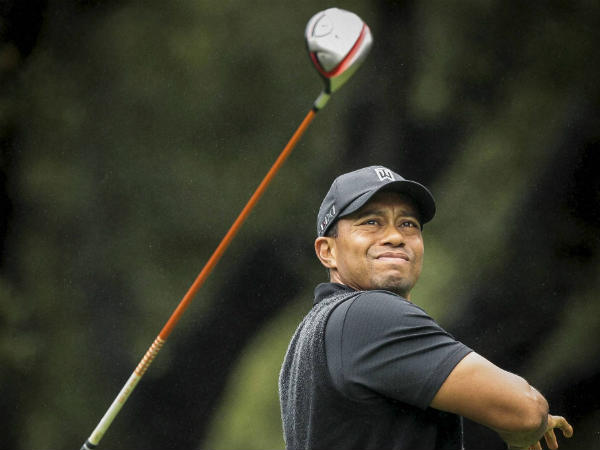 Tiger woods Tiger woods