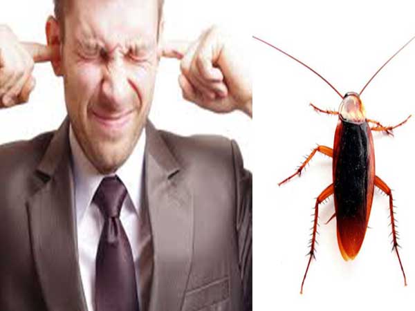 ಜಿರಳೆ ಸಾಕಣೆ ಮಾಡ್ತಾರೆ!