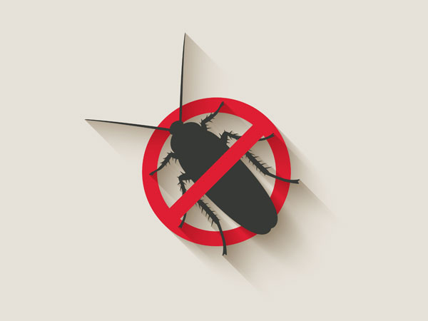 ತಲೆ ಇಲ್ಲದೆಯೂ ಬದುಕಬಲ್ಲವು