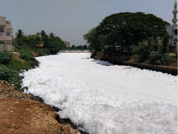 ವರ್ಷದ ಸಮಸ್ಯೆ