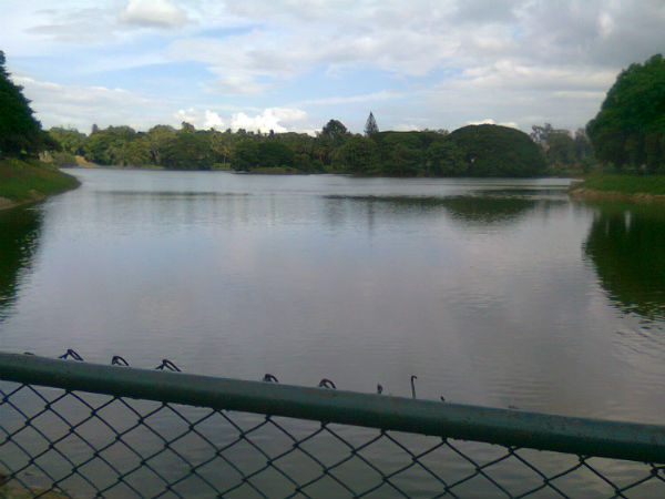 ಕಸದ ಗುಂಡಿಗಳಾಗಿರುವ ಬೆಂಗಳೂರು ಕೆರೆ