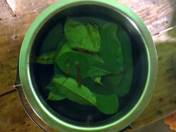 Hanuman phala kills cancer cells