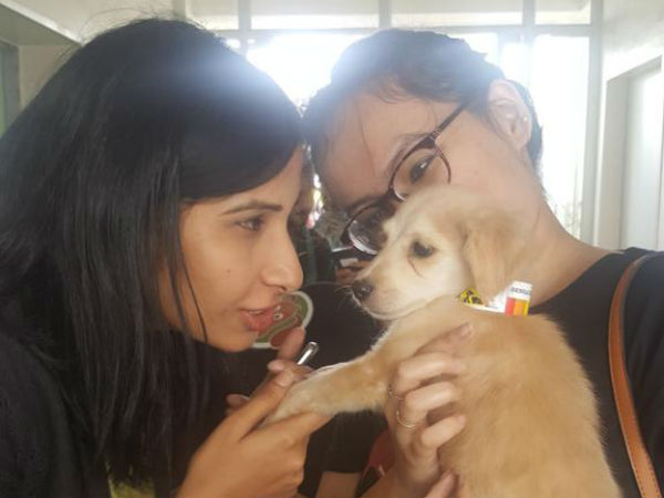 Dogsee Chew's #BengaluruOptsToAdopt campaign Dogsee Chew's #BengaluruOptsToAdopt campaign