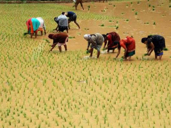 Fields turn sports ground in Kodagu during monsoon