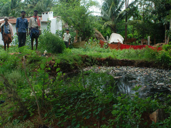 Disease bhagya to Haginavalu villagers in Nanjangud