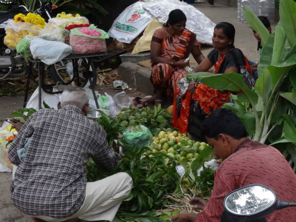 ಮಾವಿನ ಸೊಪ್ಪಿನ ಕಟ್ಟು