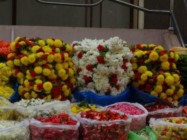 ಮಲ್ಲಿಗೆ