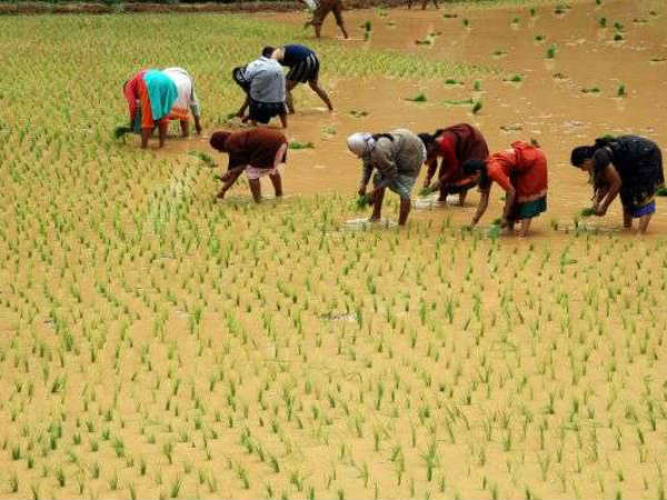 ಅಲ್ಲಿ ಲಾಭನಷ್ಟದ ಲೆಕ್ಕಾಚಾರವಿರುತ್ತಿರಲಿಲ್ಲ