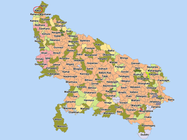 ಶೇಕಡಾವರು ಯಾರಿಗೆ ಎಷ್ಟು? 