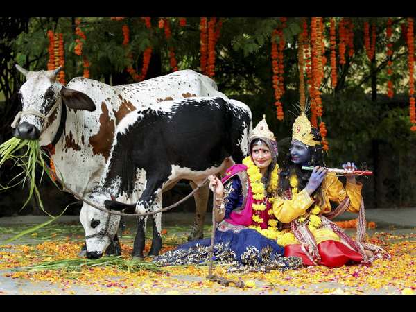 ಕೃಷ್ಣಾ ನೀ ಬೇಗನೇ ಬಾರೋ 